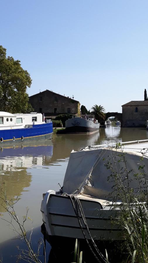 Le Coq Du Nord - Mailhac Gite Et Chambres D'Hotes Exterior foto